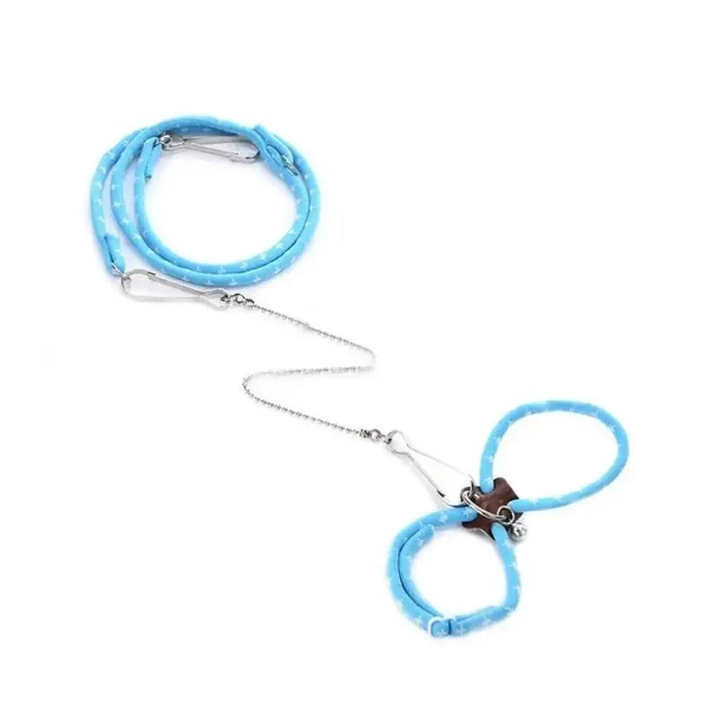 WhiskerWander Set image 5