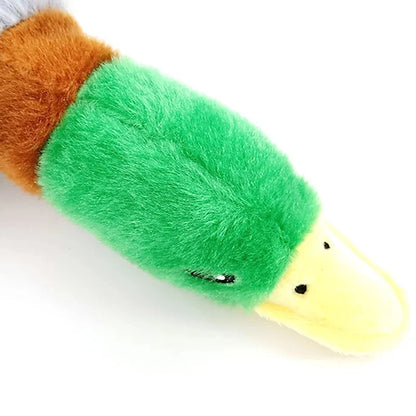 QuackLuxe Chew Toy image 4