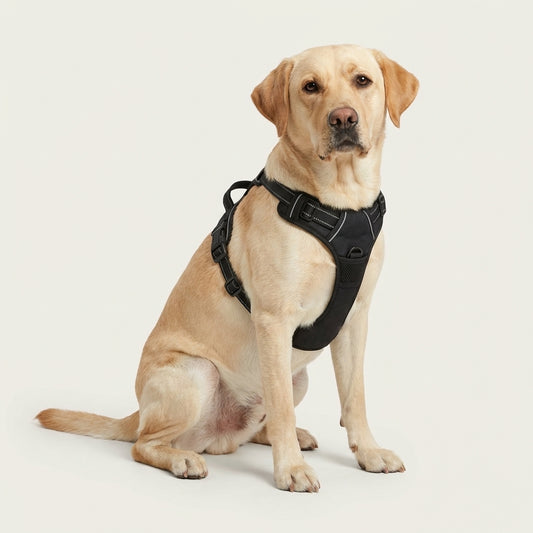 ApexGrip Harness image 1