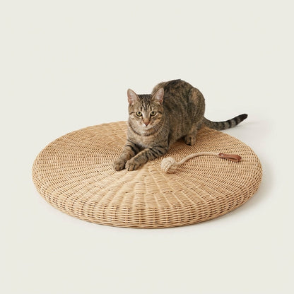 RattanRest Scratcher